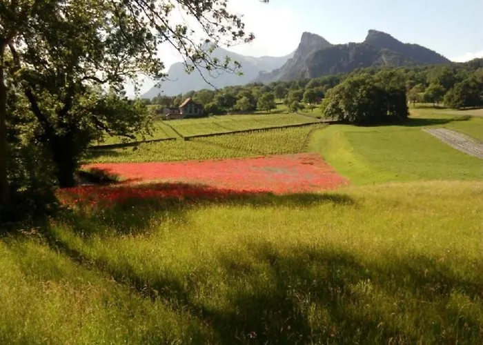 Spezielle Heidi Tatil Evi Maienfeld